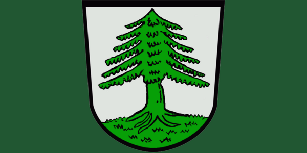 Bild vergrößern: Wappen Stadt Oberviechtach_Grün Hintergrund