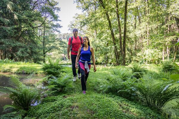 Bild vergr&ouml;&szlig;ern: wandern hochholz
